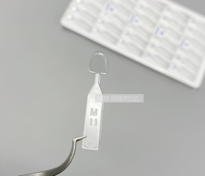 Dental Veneers Mould Composite Resin Anterior Front Teeth Light Cure Restoration