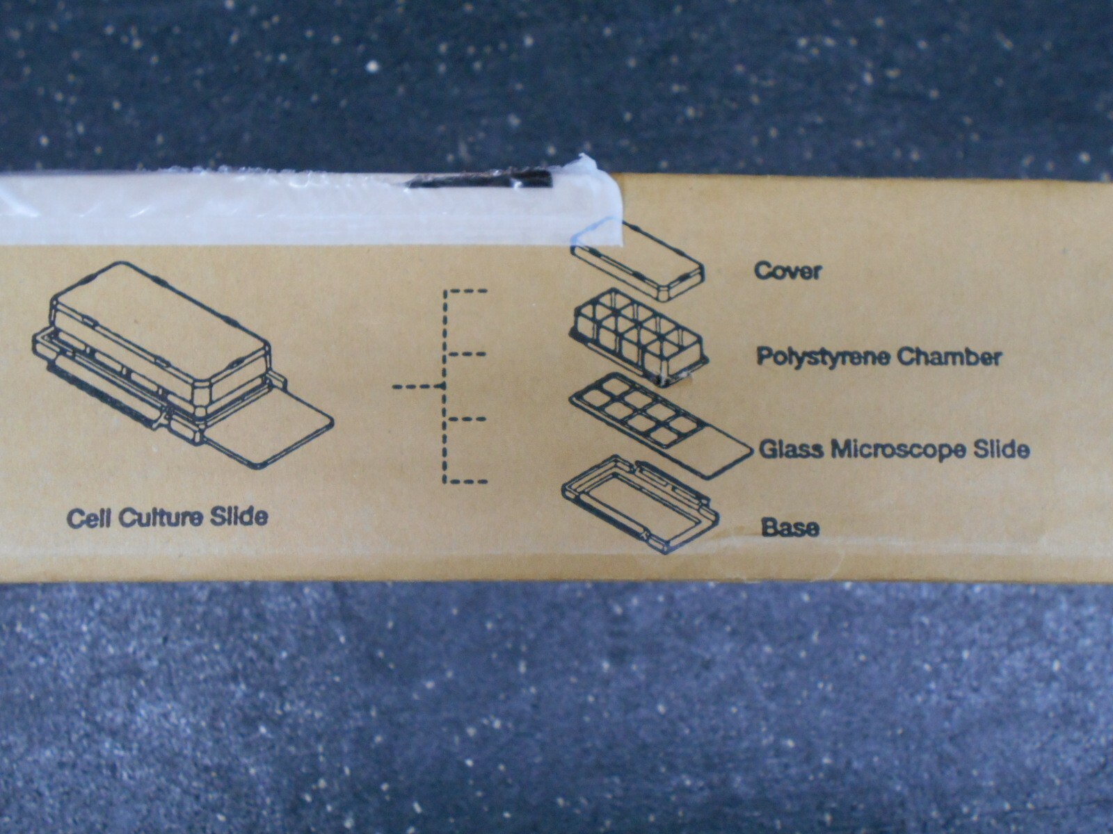 MATTEK CCS 8 CELL CULTURE SLIDES 8 WELL BOX OF 12