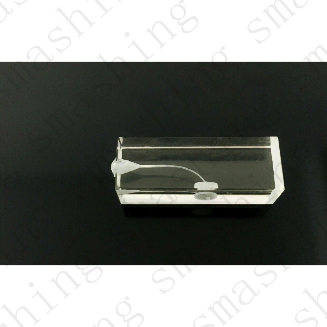 10Pcs Dental Endo Root Canal Model Training Block Endodontic Student Teaching US