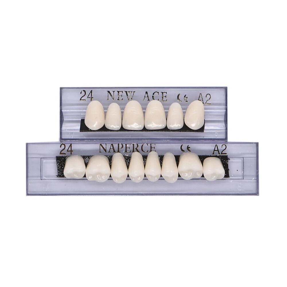168X Acrylic Resin A1/A2/A3 Dental Denture Teeth Upper Lower Shade 22/23/24# USA