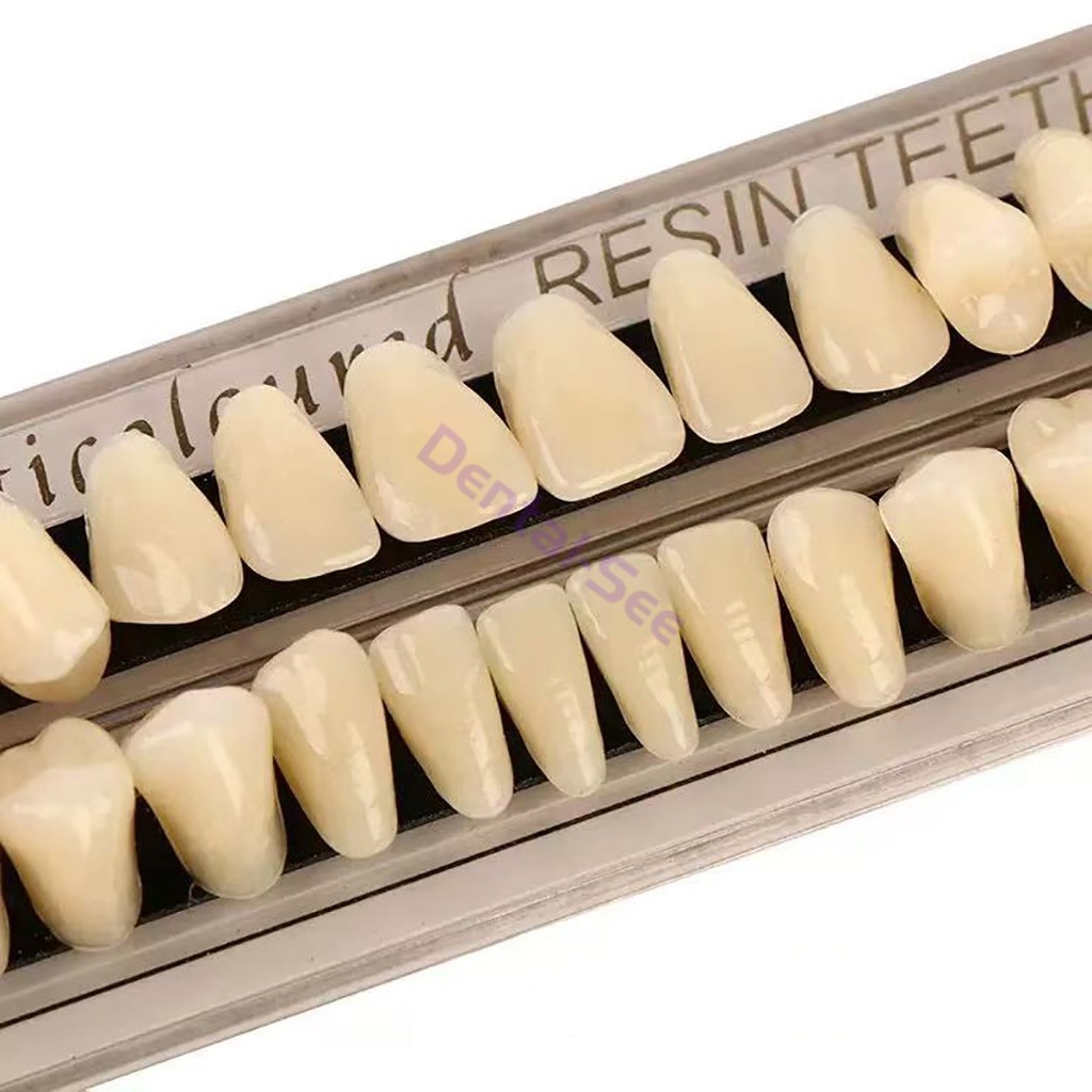 56Pcs Dental Acrylic Resin Full Set Teeth Upper Lower Shade #22 #23 A2 A3
