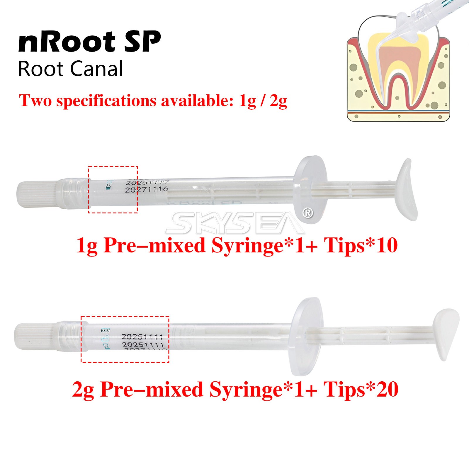nRoot SP Dental Endo Filling Bioceramic Root Canal Sealing Material