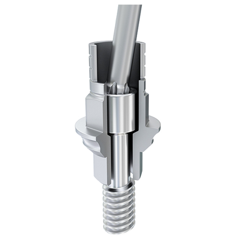 5x Angulated Anti Rotational Ti-Base Cad/Cam Prosthetic Int Hex 2.42 Library