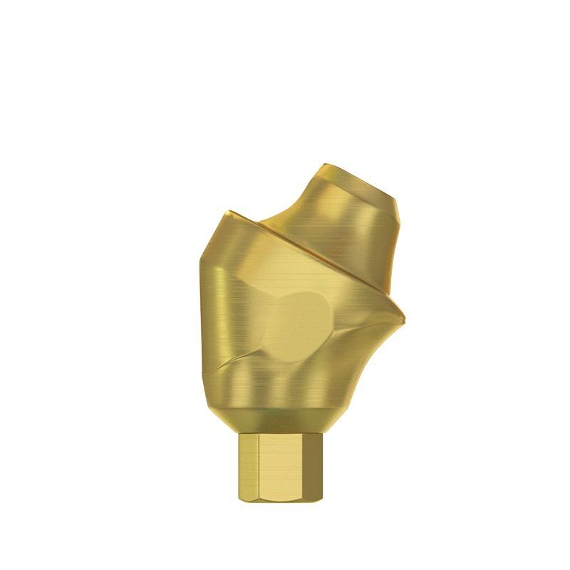 CAD/CAM Set Angulated 30° Multi Unit Abutment Int Hex 2.0 PEEK Scan Body Ti Base