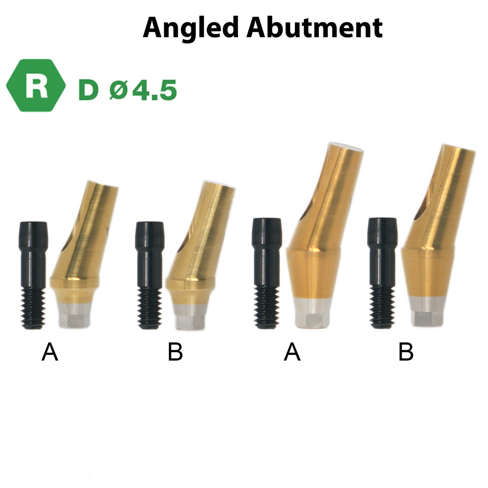 17° Angled Anatomic Abutment Regular Fits Hiossen Osstem TS Ø4.5/5.0mm Platform