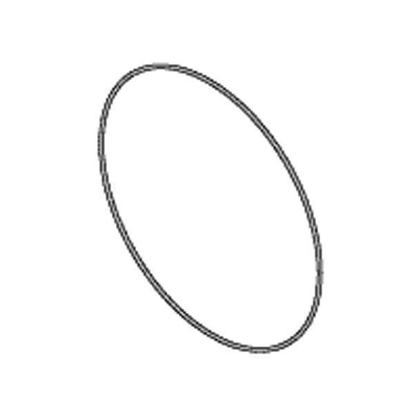 RPI Sterrad NX Chamber/Door Seal, Single Seal