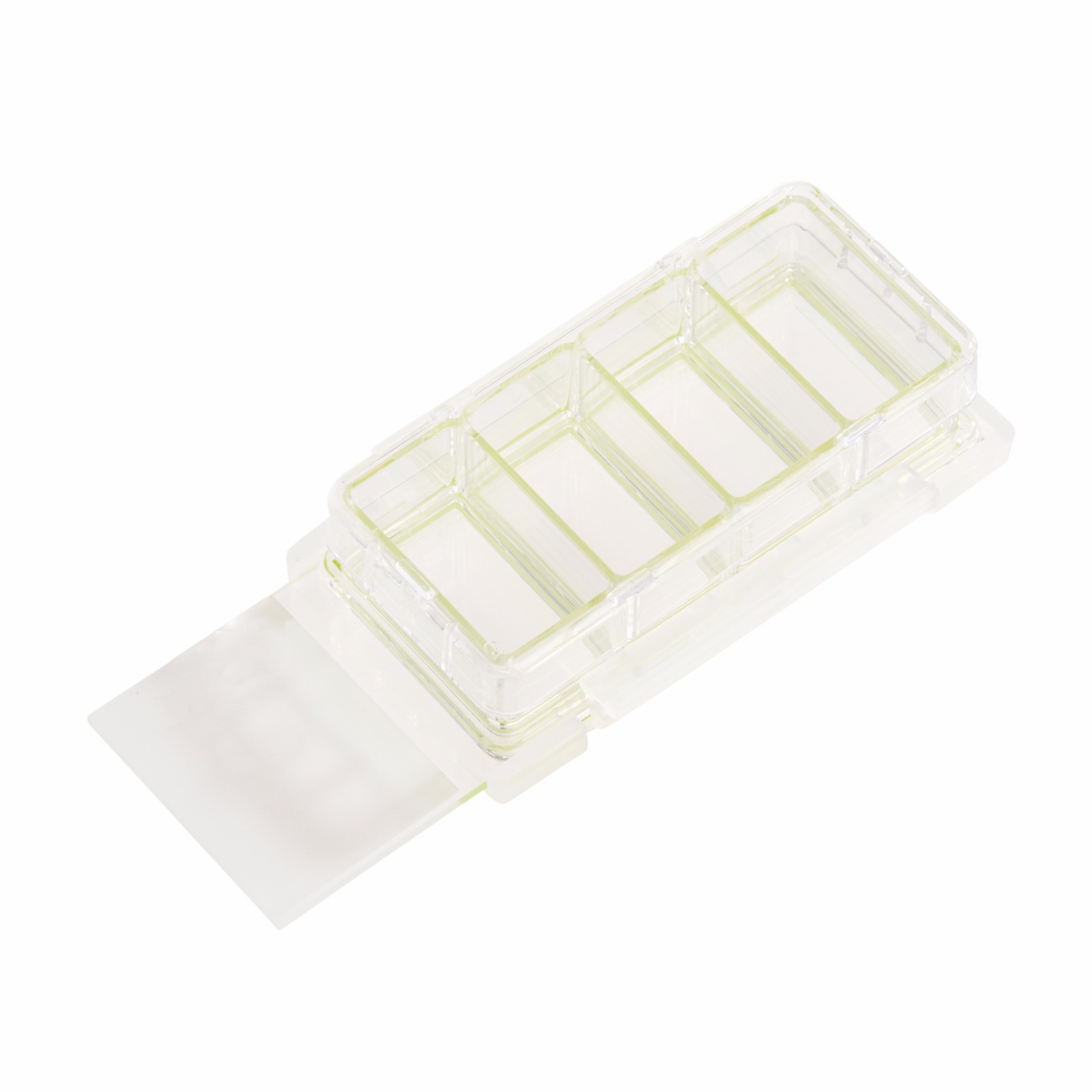 CELLTREAT Chamber Cell Culture Slide, 4 Chamber, 12/Case, Sterile, #229164