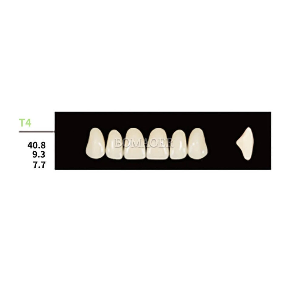 Dental Synthetic Polymer Resin False Teeth, Square Anteriors Upper T4 A2
