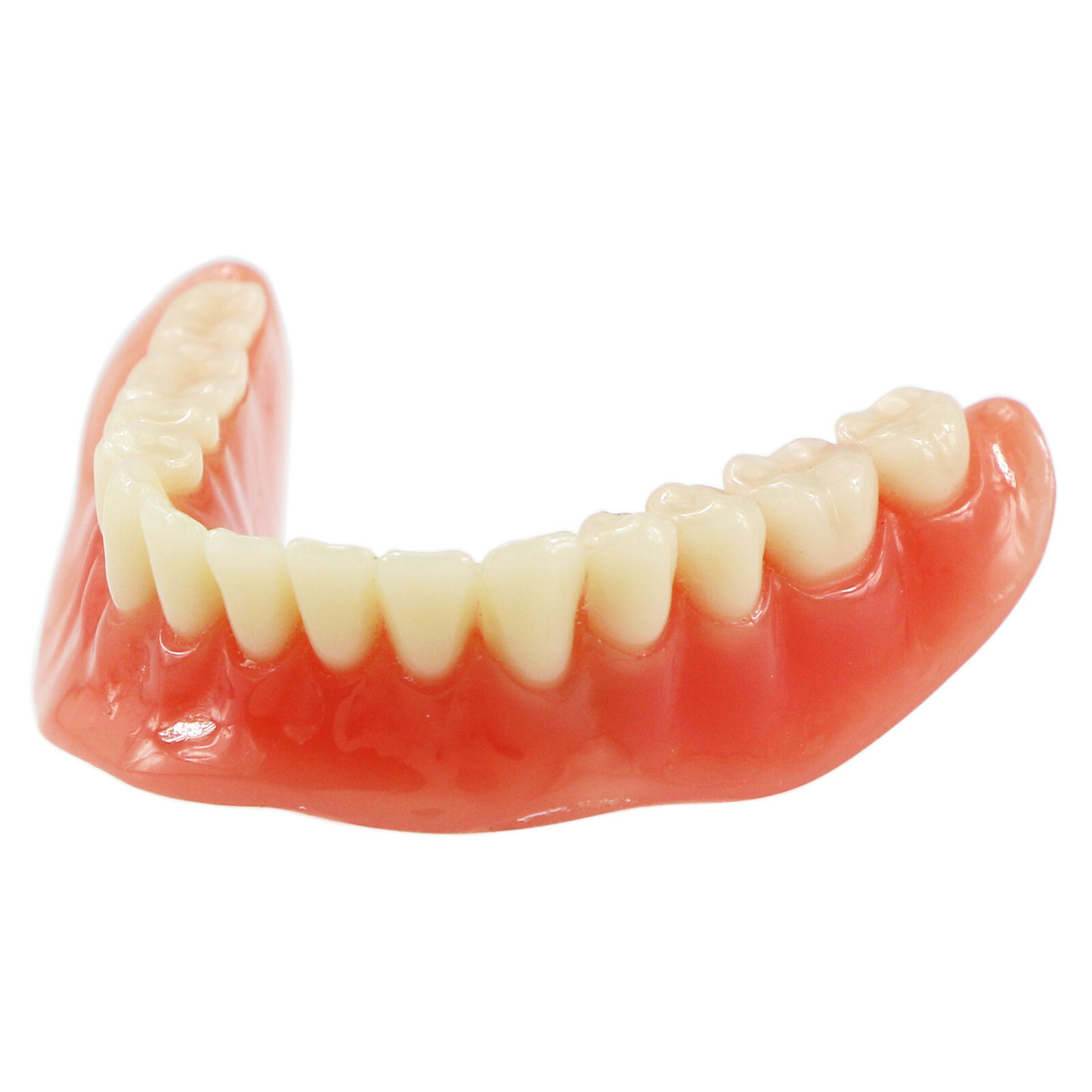 Dental Typodont Teeth Model Overdenture Lower Inferior 2 Implants Demo M-6002 US