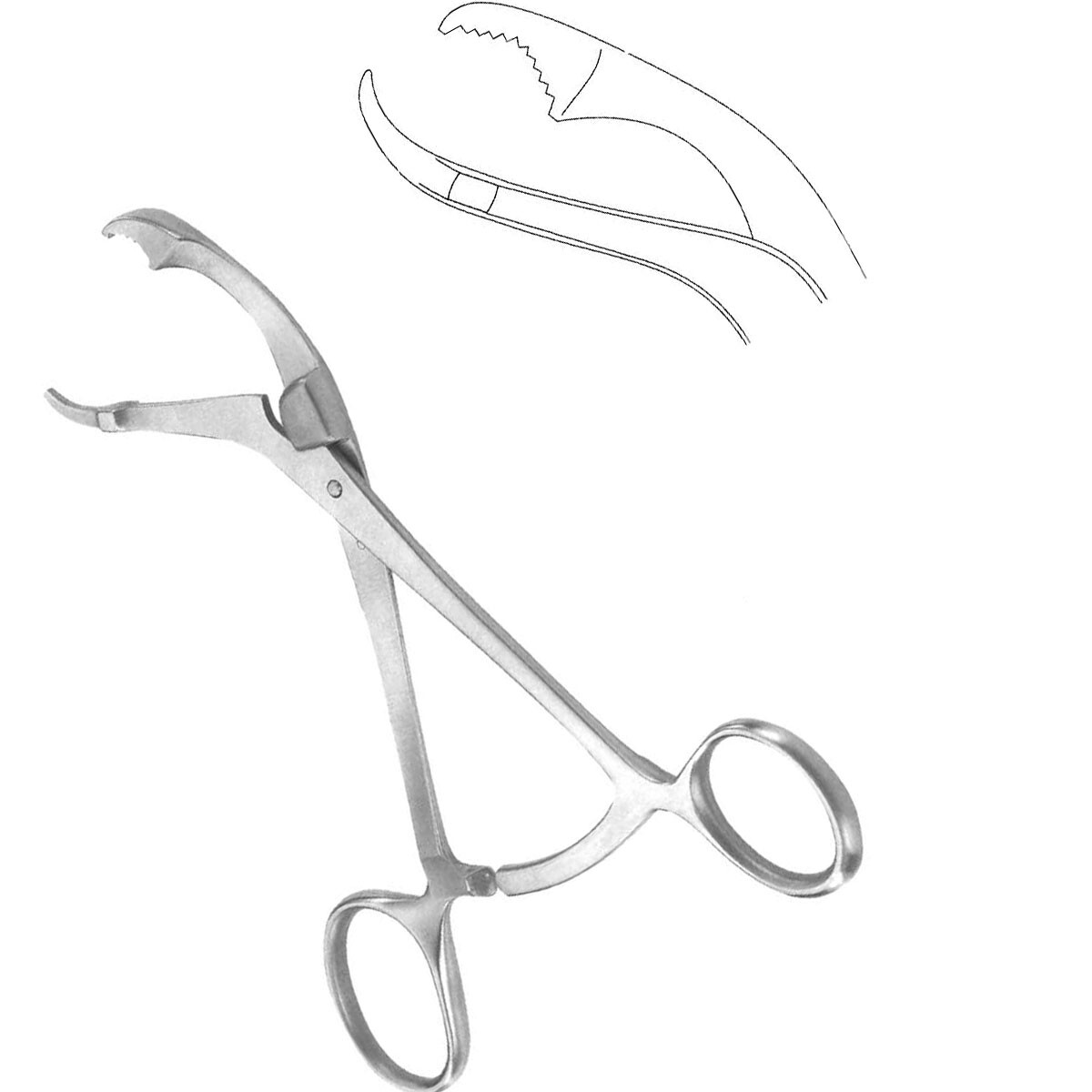 Verbrugge Bone Holding Reposition Forceps Plier 26 cm, 10.5 mm 10.25″