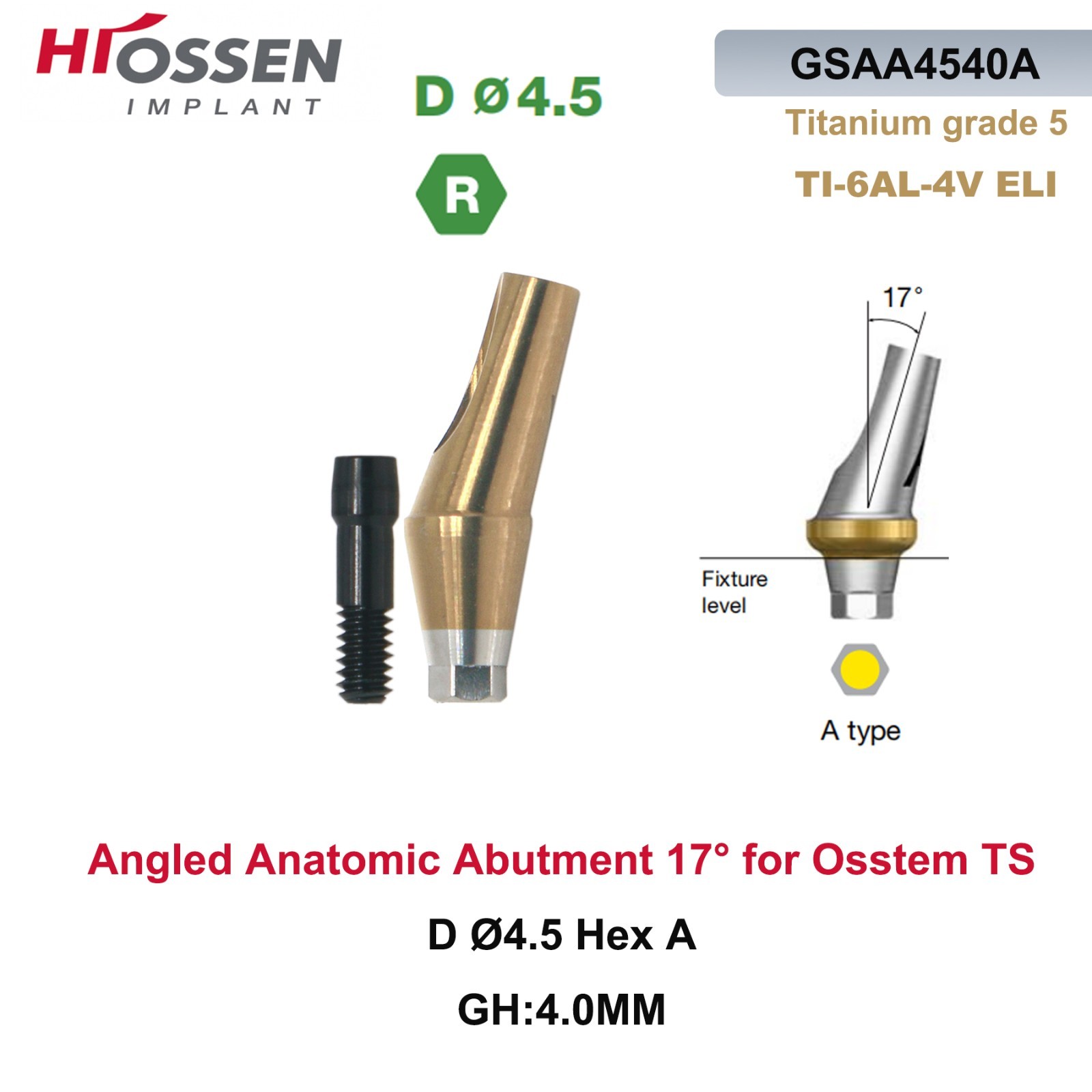 1X Fit Mini/Regular Angled Anatomic Abutment 17° Ti Dental Osstem/TS Hiossen/ET