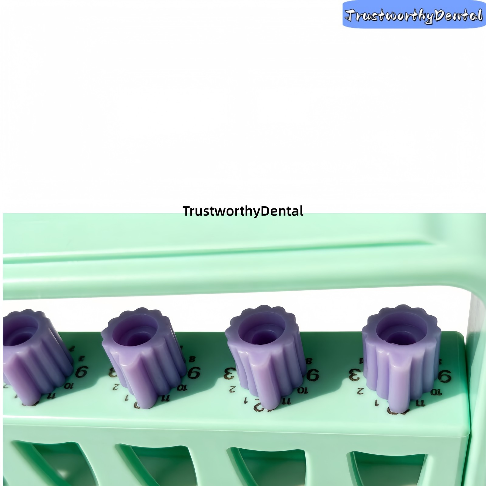 Dental 6 Holes Root Canal File Counting Disinfection Rack Measuring Rack Plastic