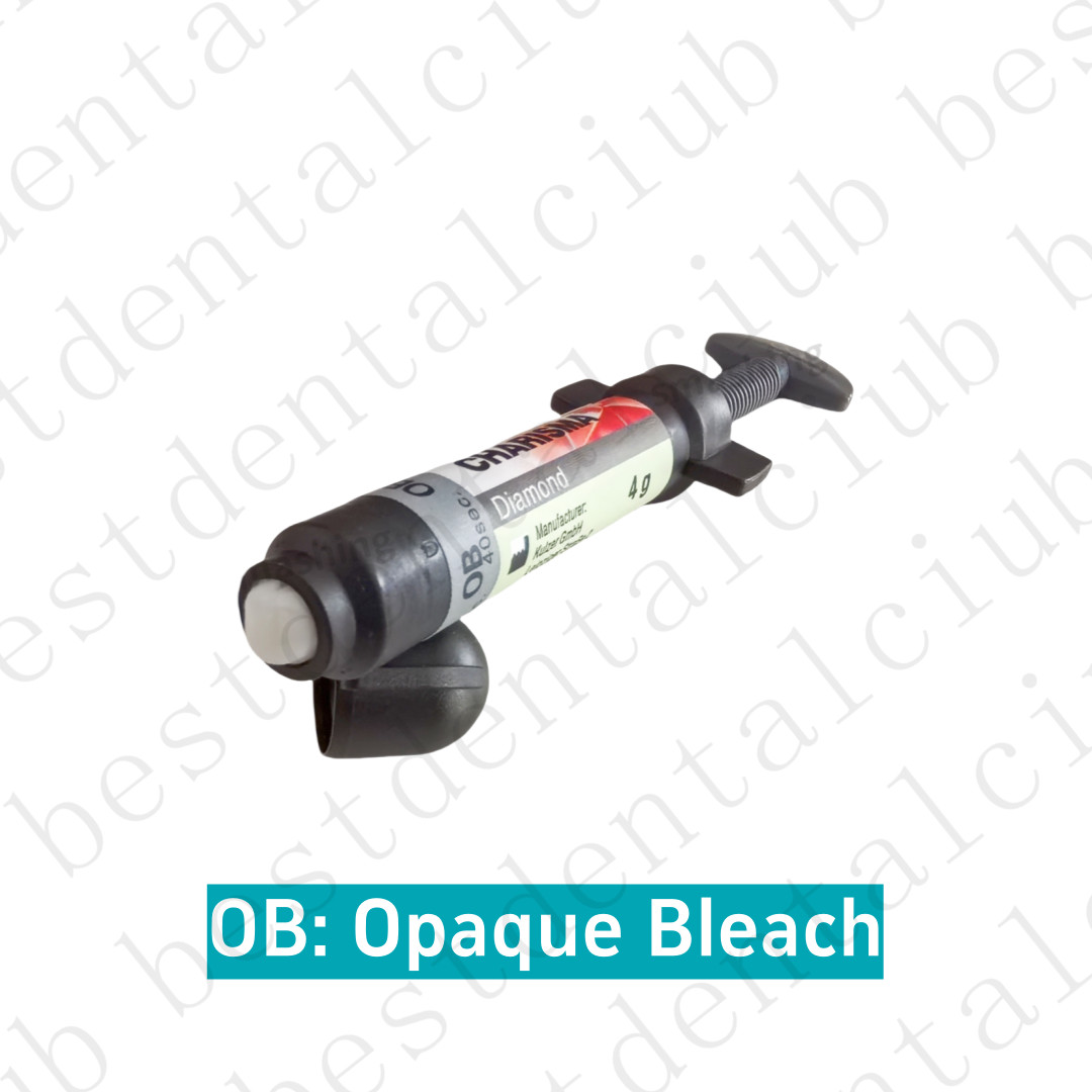 10x Dental KULZER CHARISMA Composite Resin Diamond Bleach White Light Cure BL BX