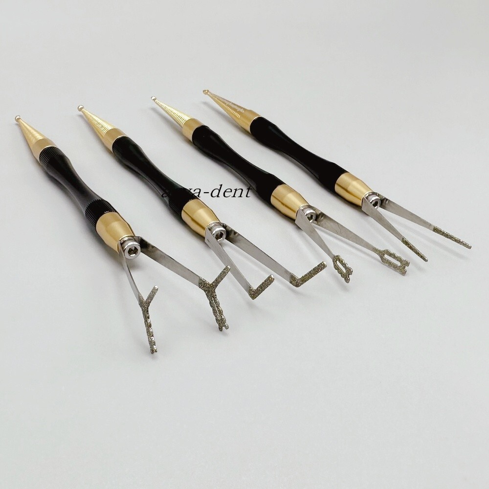 Zirconia Anterior Posterior Crown Bridge Holder Crown Dental Crowns Remover