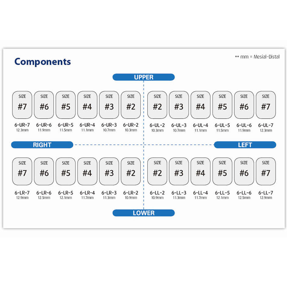 (5 refill) Stainless Steel Permanent Molar Crown Perma Crown compatible