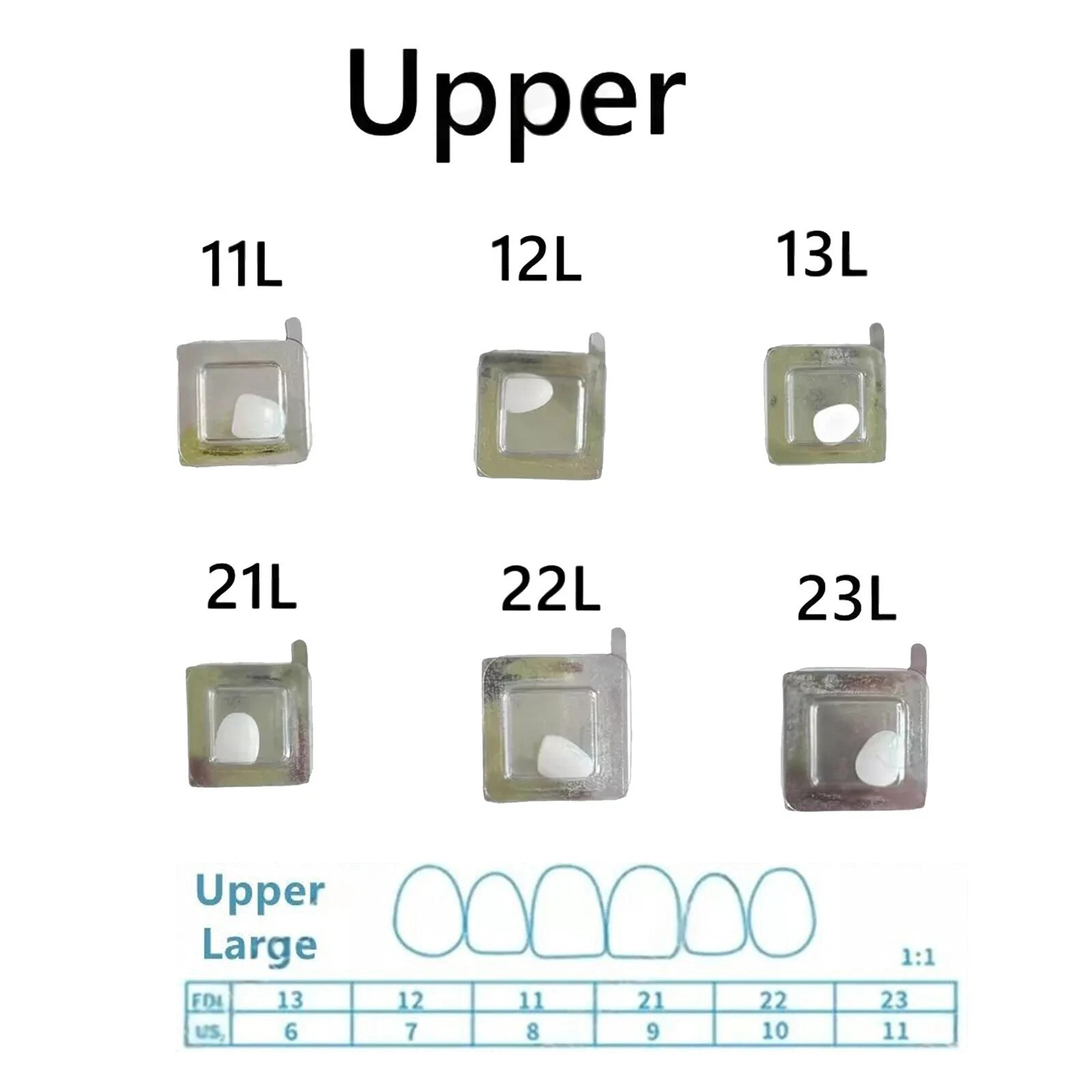 30 Sizes Resin Dental Lab Composite Light Cure Anterior Teeth Porcelain Veneers