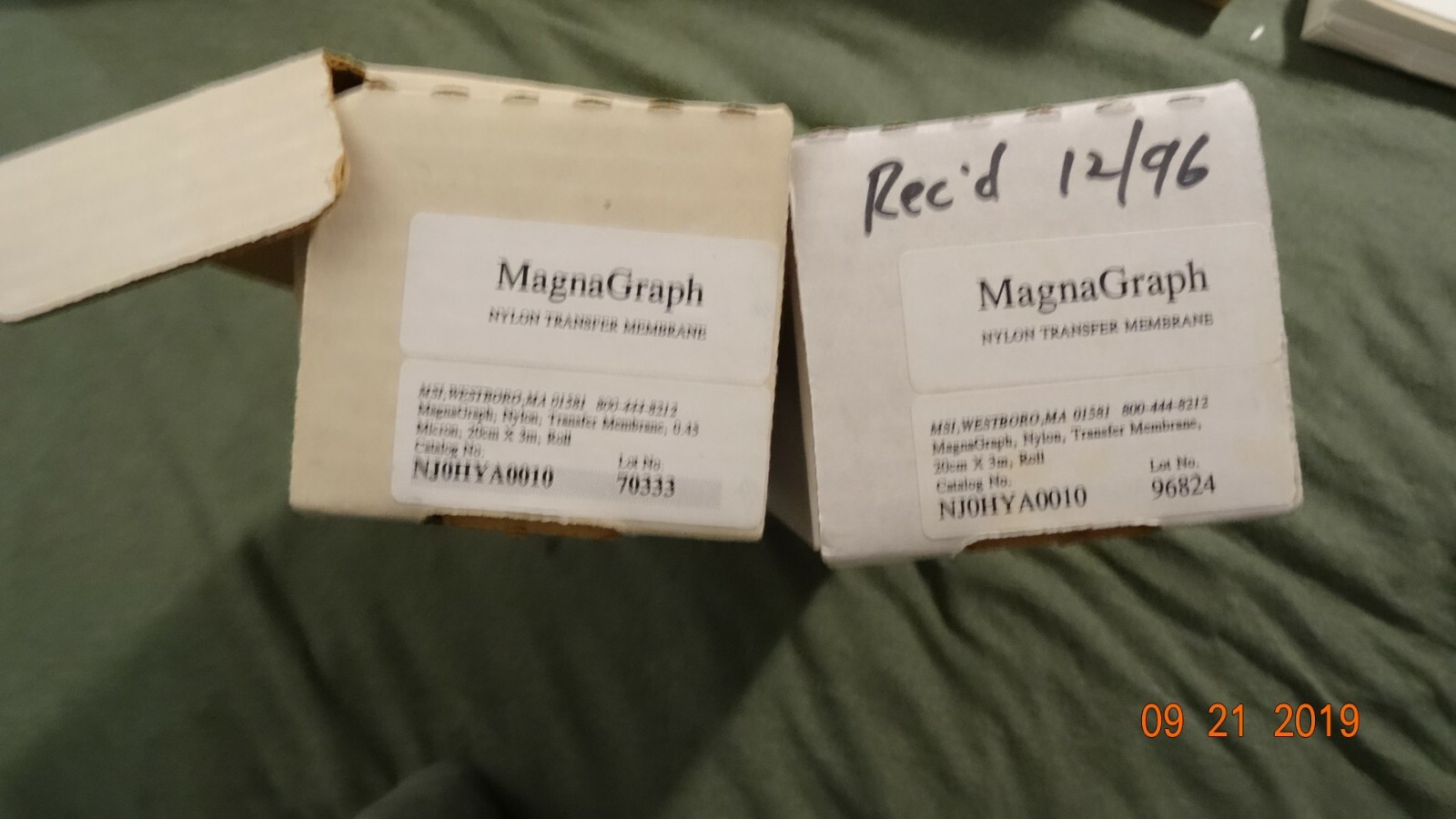 2 MSI Magna Nylon Transfer Membranes, 0.45μm, 20cm partial rolls MagnaGraph