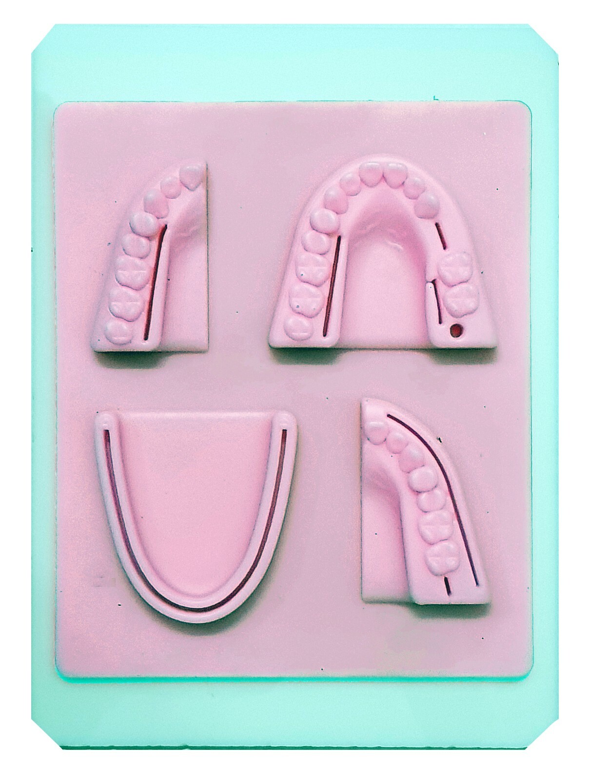 Premium Dental Silicon Suture Training Pad W/ Tray Suture Pad Regular Wounds Set