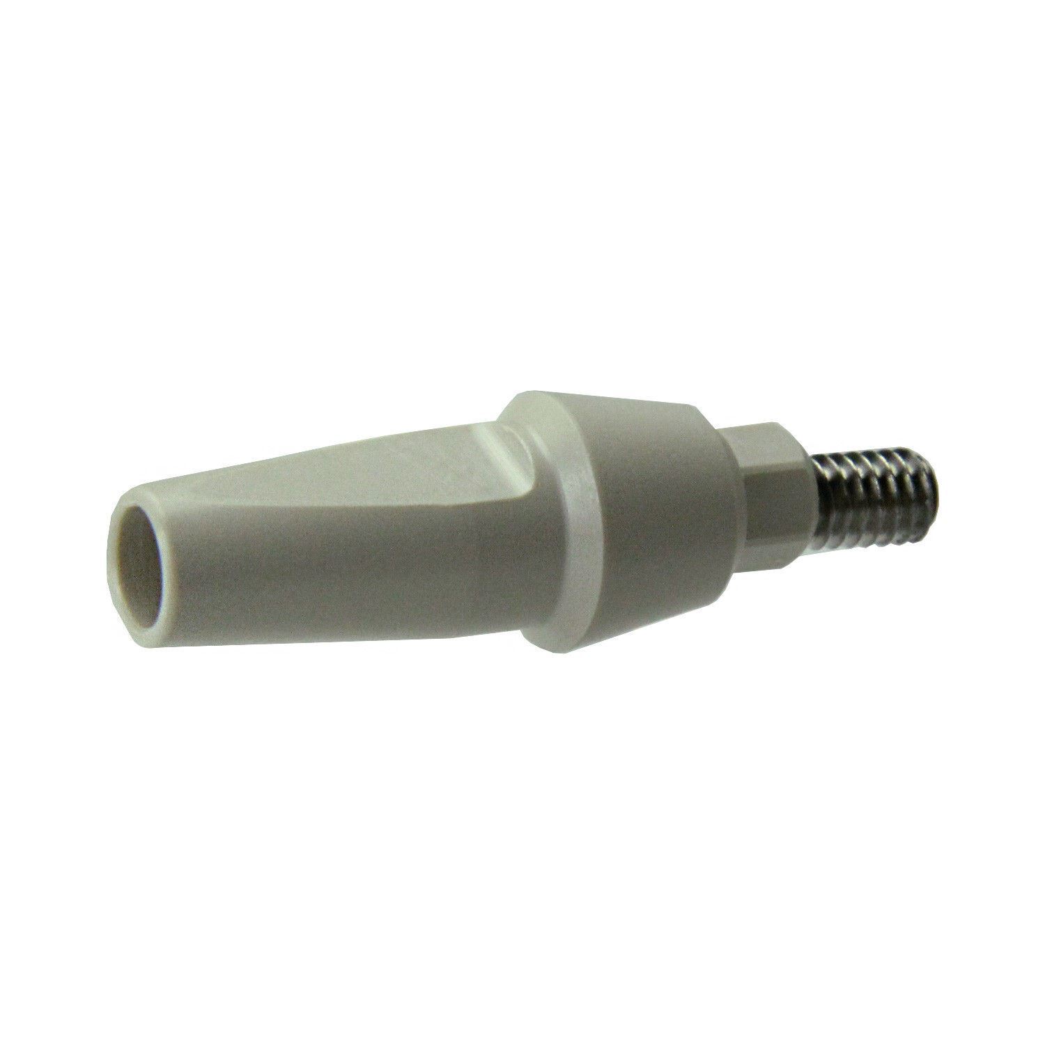 10 DSI Dental Fixture PEEK Anatomic Straight Adapter Head Restoration 1-3