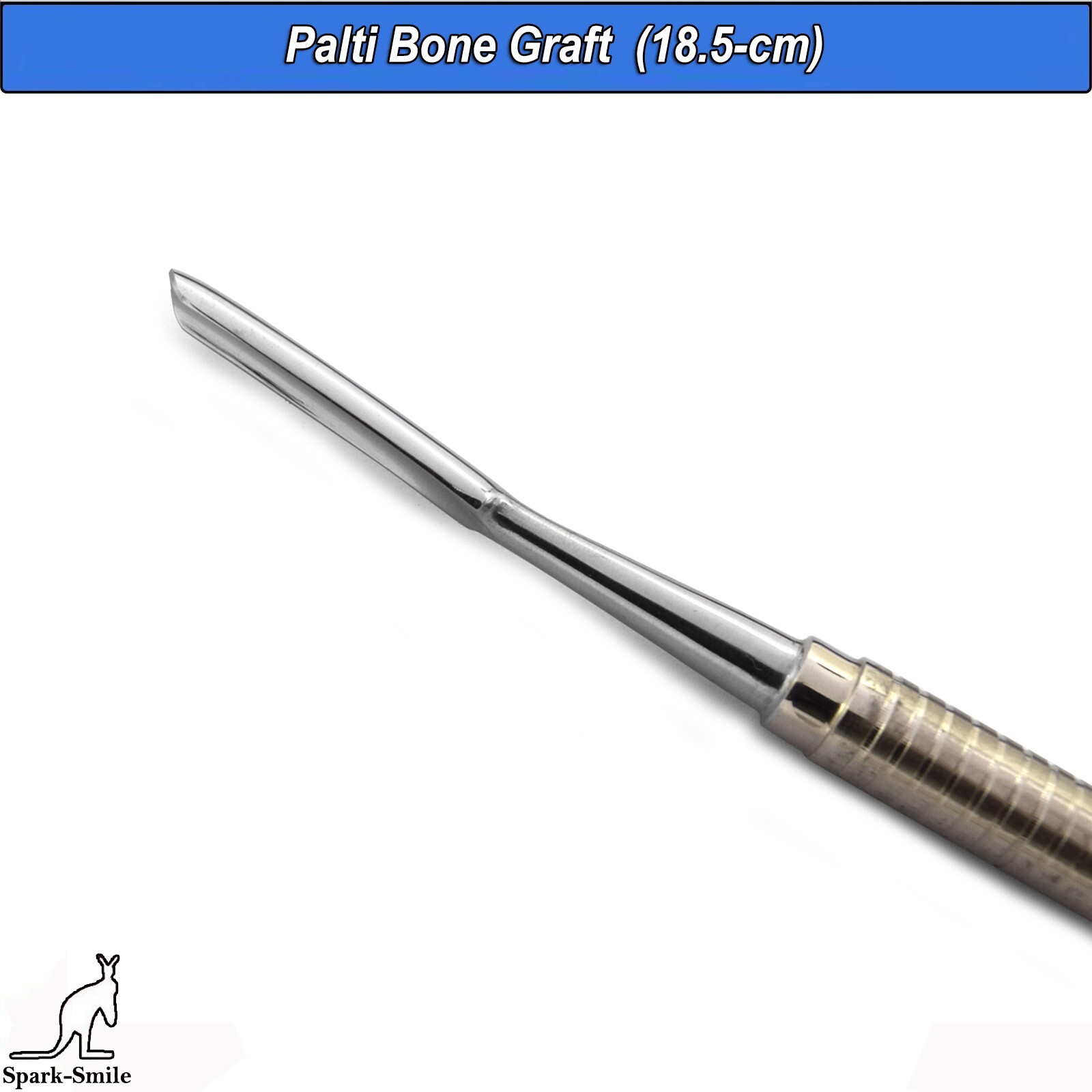 Dental Palti Bone Graft Scoop Bone Graft Carrier Surgical Implant Instruments