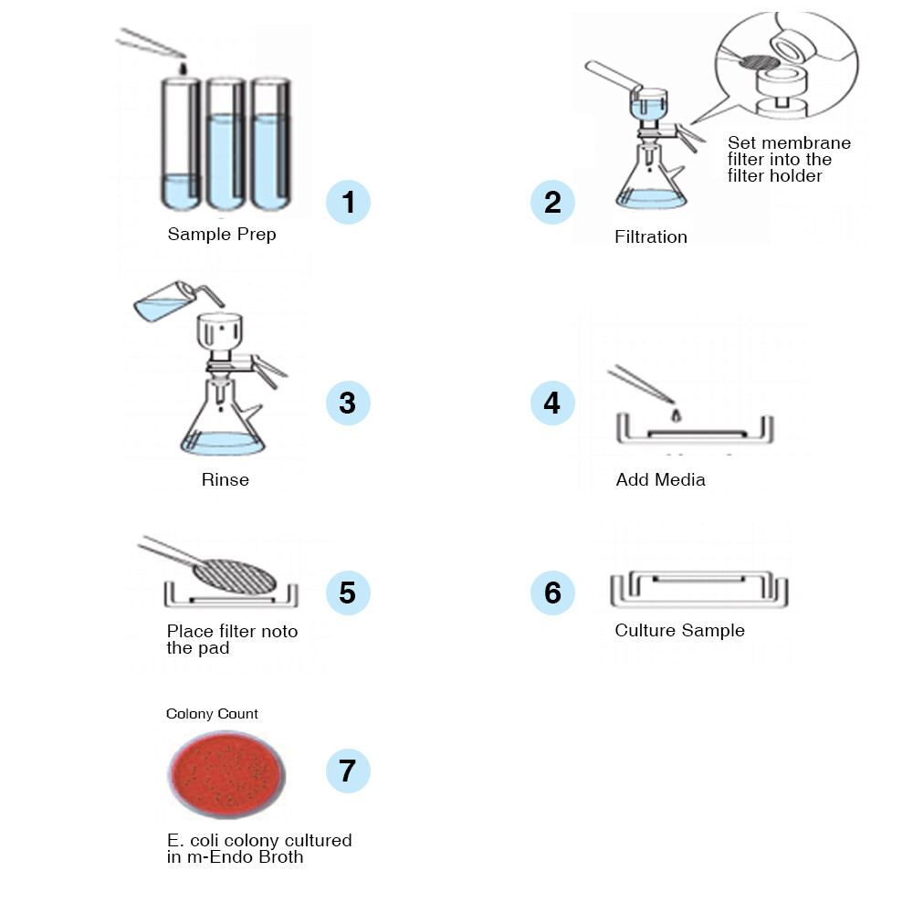 0.45µm/47mm MCE Membrane Filter Gridded Sterile,Hydrophilic,Lab Filters