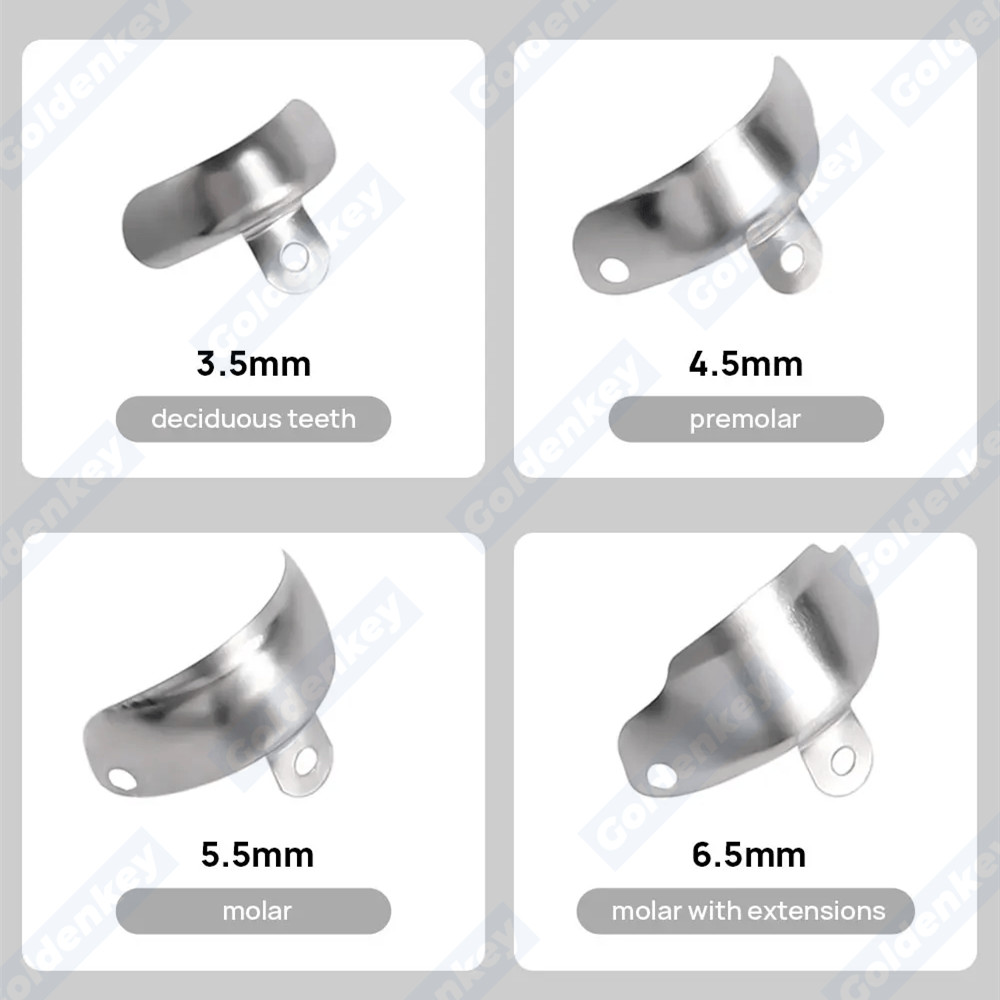 Dental Matrix Bands Ring Sectional Matrice Clamp Retaining Ring Fits Palodent V3