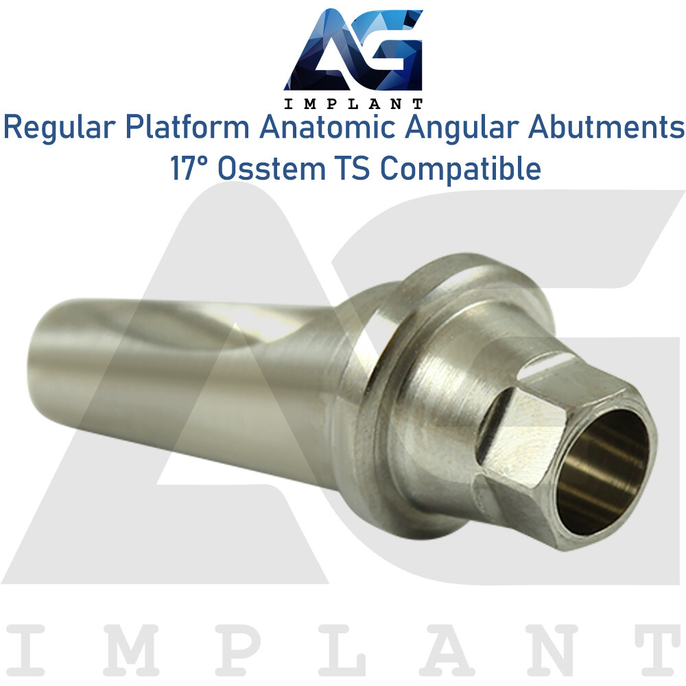 5 Angled Anatomic Abutment 17° 2.5mm Fit Regular Platform Osstem® TS