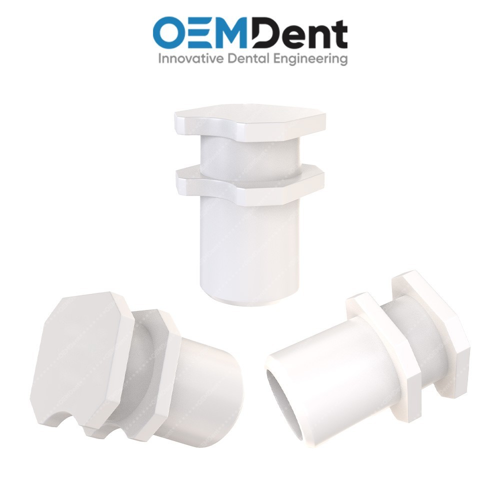 Angulated Transfer Prosthetic 15° + Snap-On Cap, Hex 2.42mm, Paltop® Compatible