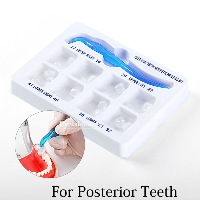 Dental Veneers Mould Composite Resin Anterior Posterior Teeth Molar Restoration
