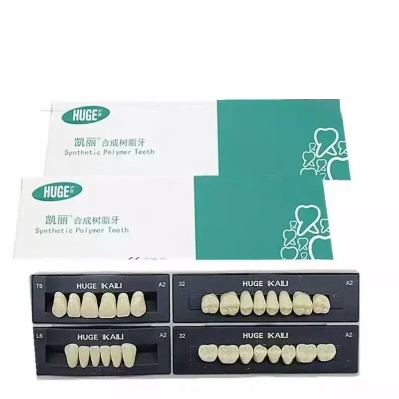 HUGE Dental Synthetic Polymer Teeth Resin False Teeth Denture Replacement 28/P
