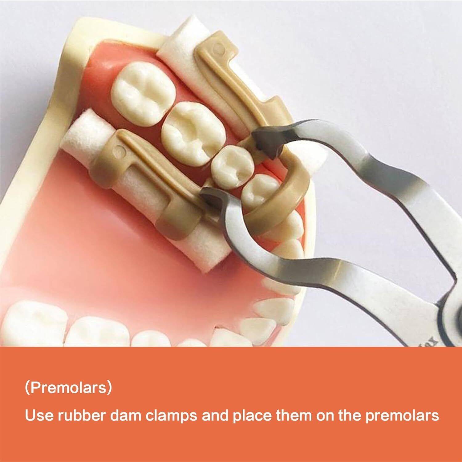 5 Box Dental Autoclavable Moisture Isolation Clip Resin Clamp Cotton Instrument