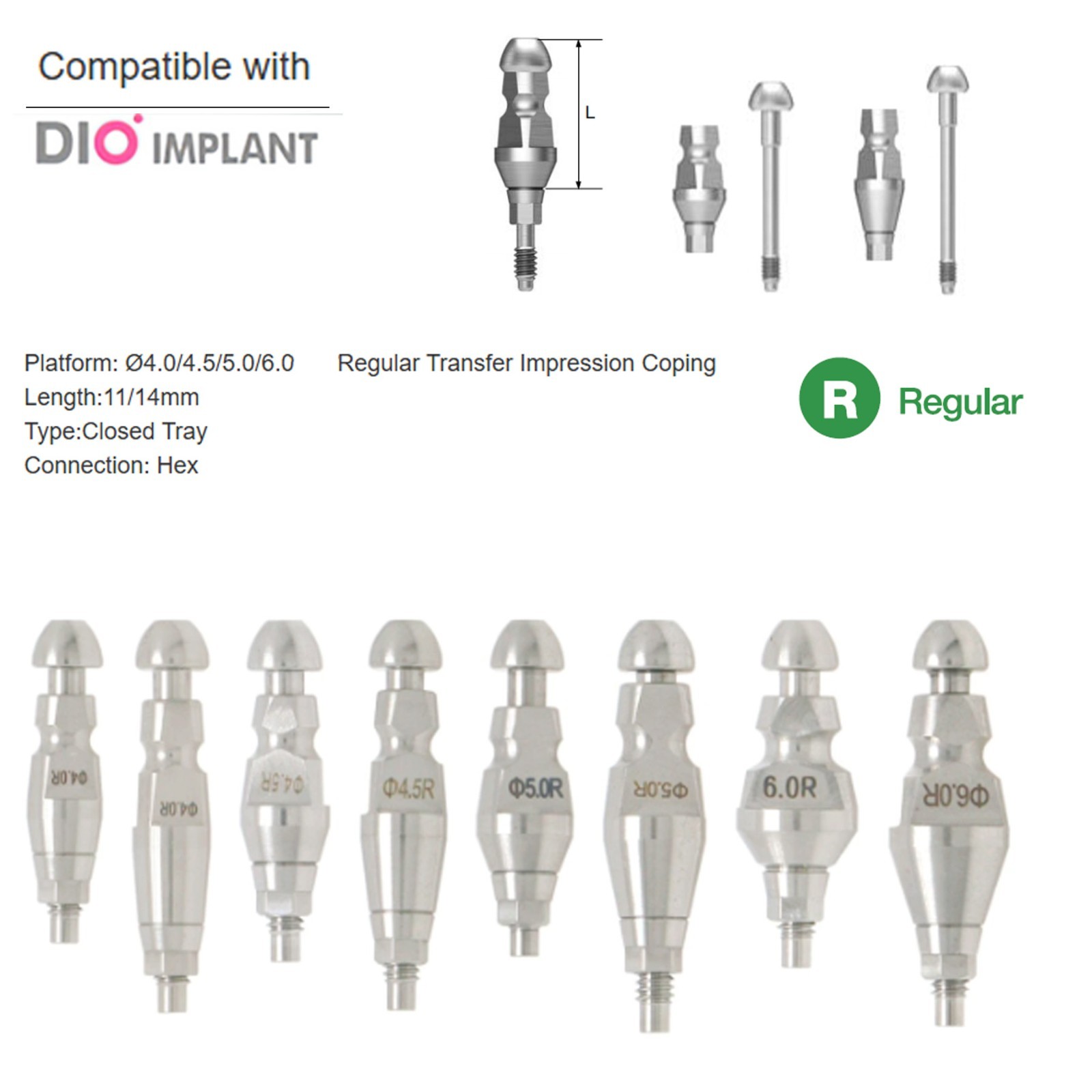 Dental DIO UFII Regular Straight Healing Abutment Impression Coping Zest locator