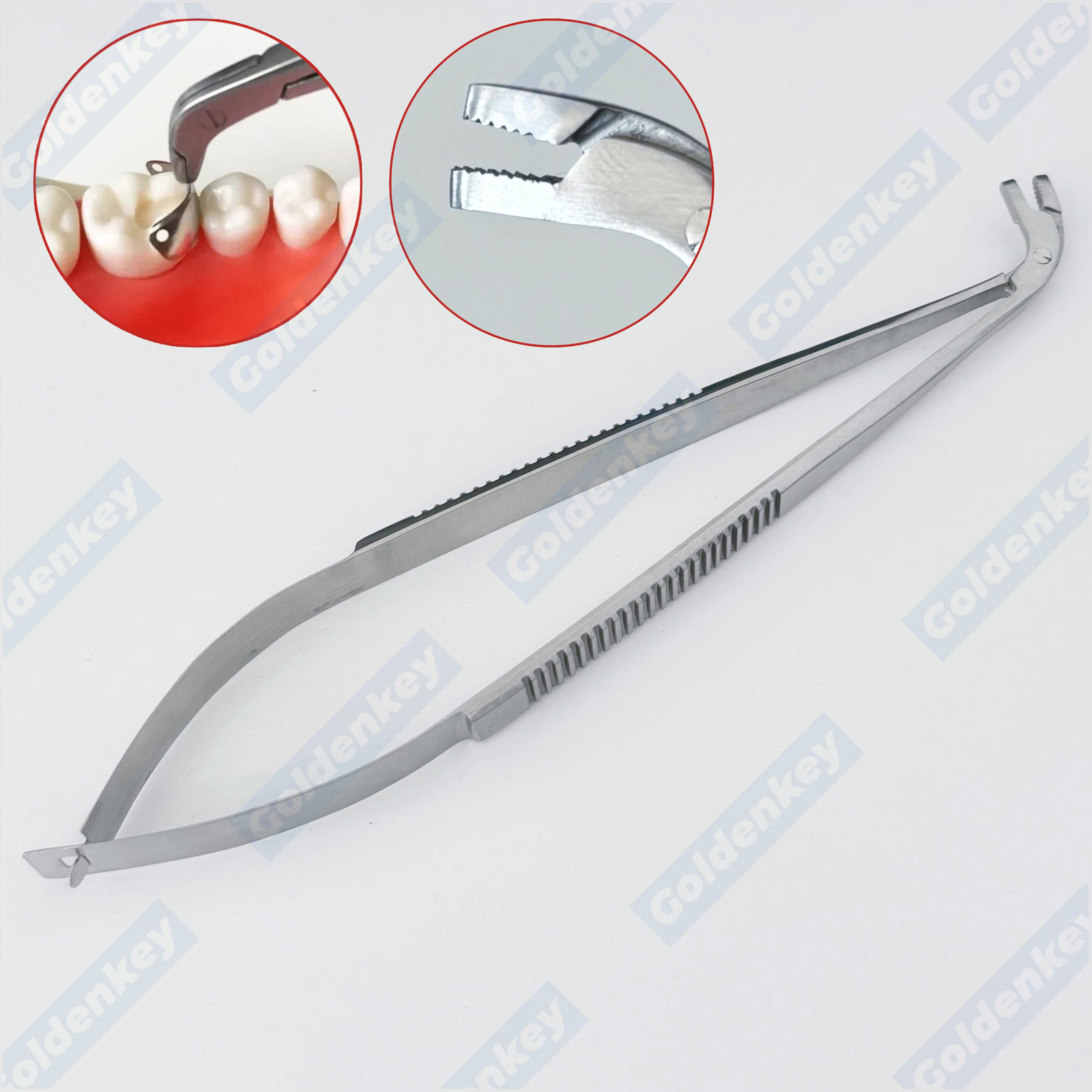 Dental Matrix Bands Forcep Composi-Tight Matrix Matrices Pin Tweezer US STOCK