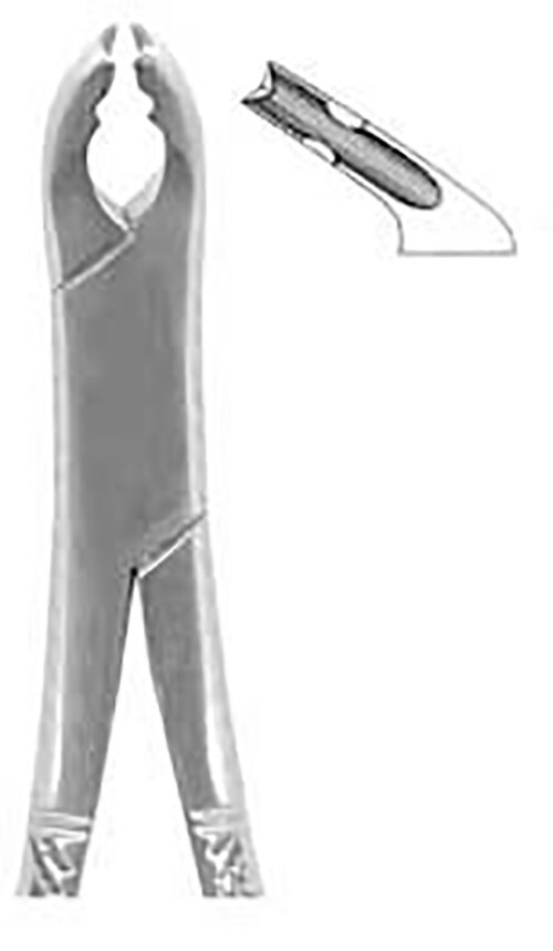 A-Titan STANDARD LOWER UNIVERSAL FORCEPS WITH NOTCH (Dental)