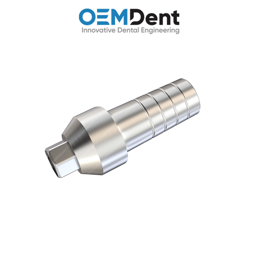 Straight Anatomic Prosthetic – Paltop® Int Hex 2.42mm Compatible