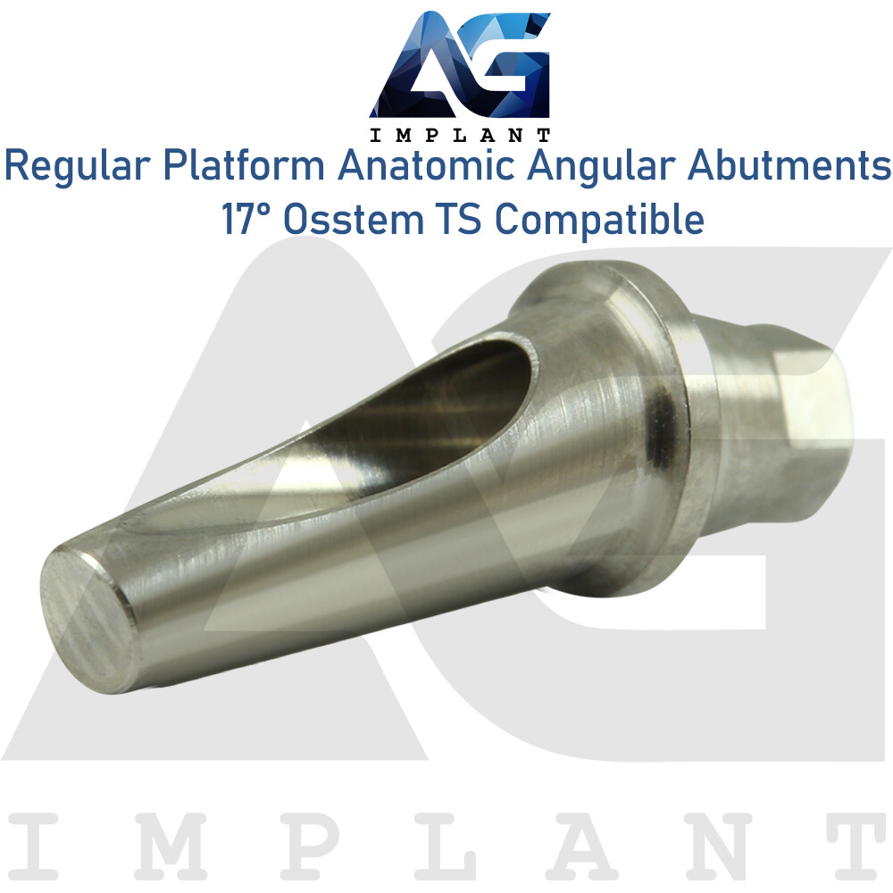 5 Angled Anatomic Abutment 17° 2.5mm Fit Regular Platform Osstem® TS