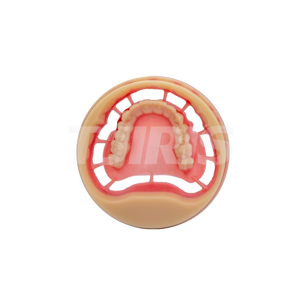 1 pcs Dental Lab Material OD98*25mm Two-color PMMA Blocks Disk A2+Pink