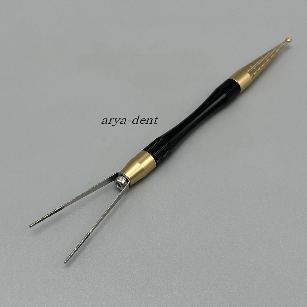 Zirconia Anterior Posterior Crown Bridge Holder Crown Dental Crowns Remover