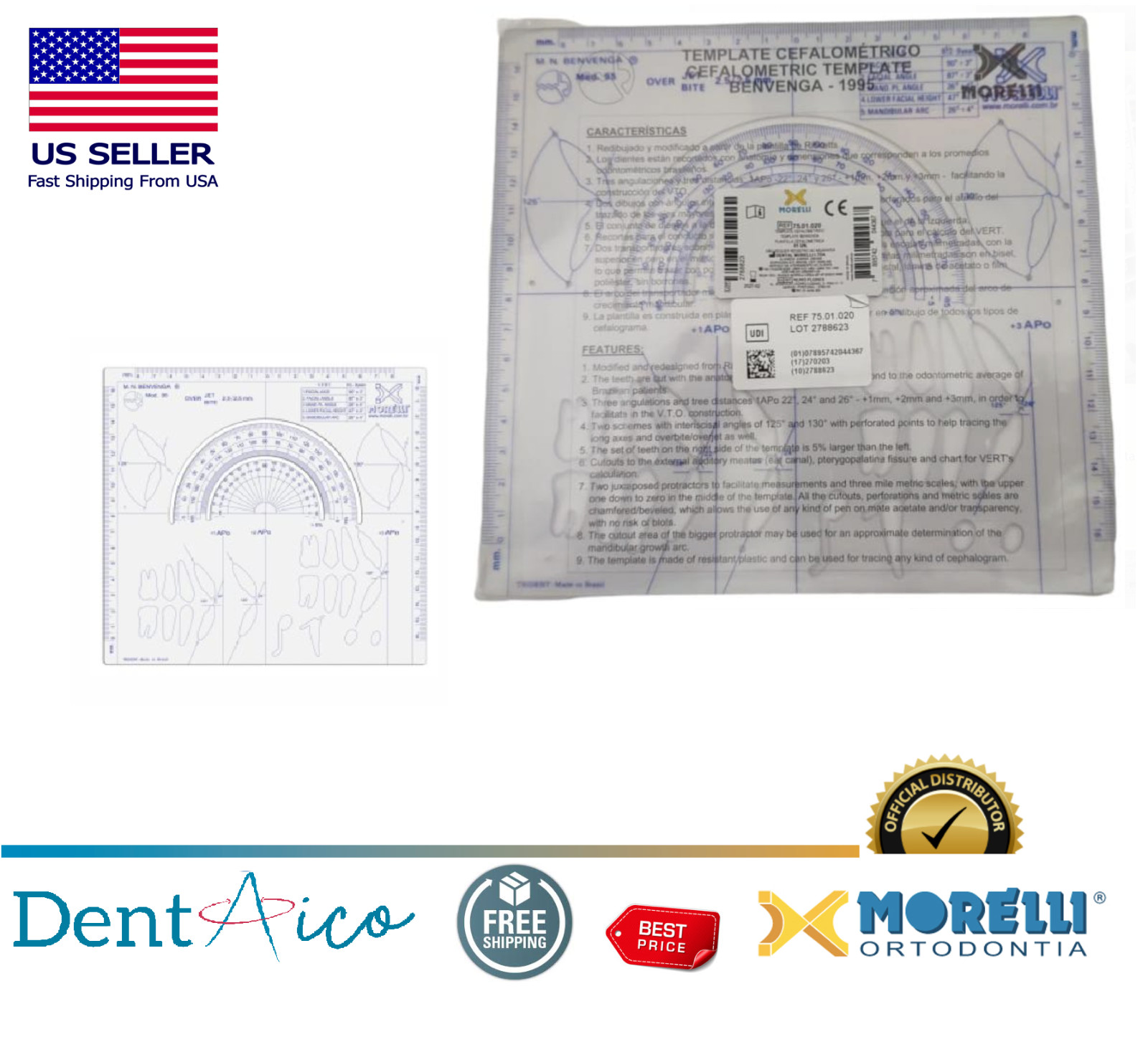 Cephalometric Template Ruler Dental Orthodontic product Supply