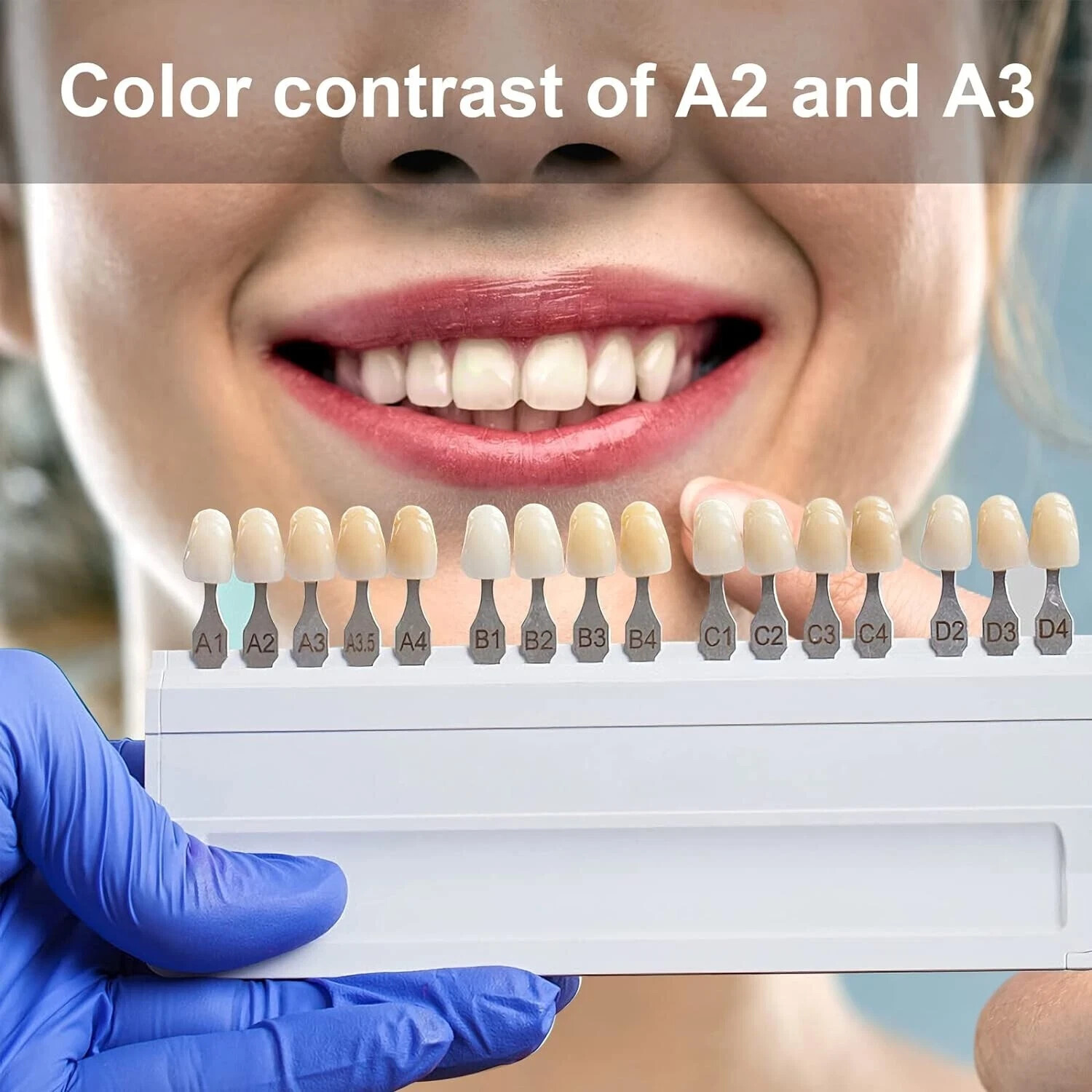 HUGE Dental Synthetic Polymer Teeth Resin False Teeth Denture Replacement 28/P