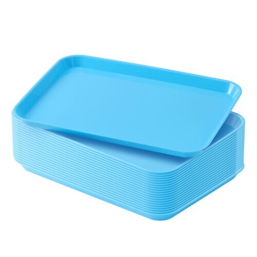 20Pcs Dental Flat Trays Autoclavable Instrument Trays Size B Plastic 13.25X9.75″