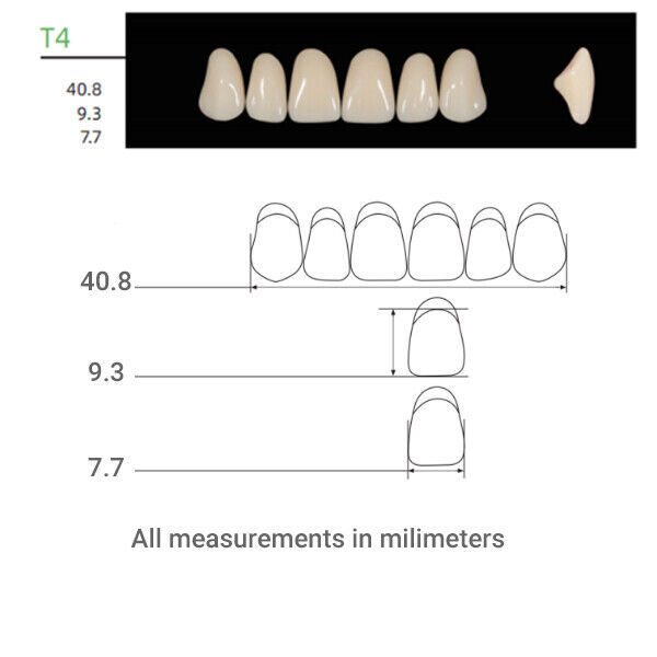 Huge Kaili Synthetic Polymer Teeth Upper Anterior Shade A1 Full Box 16sets/6pcs