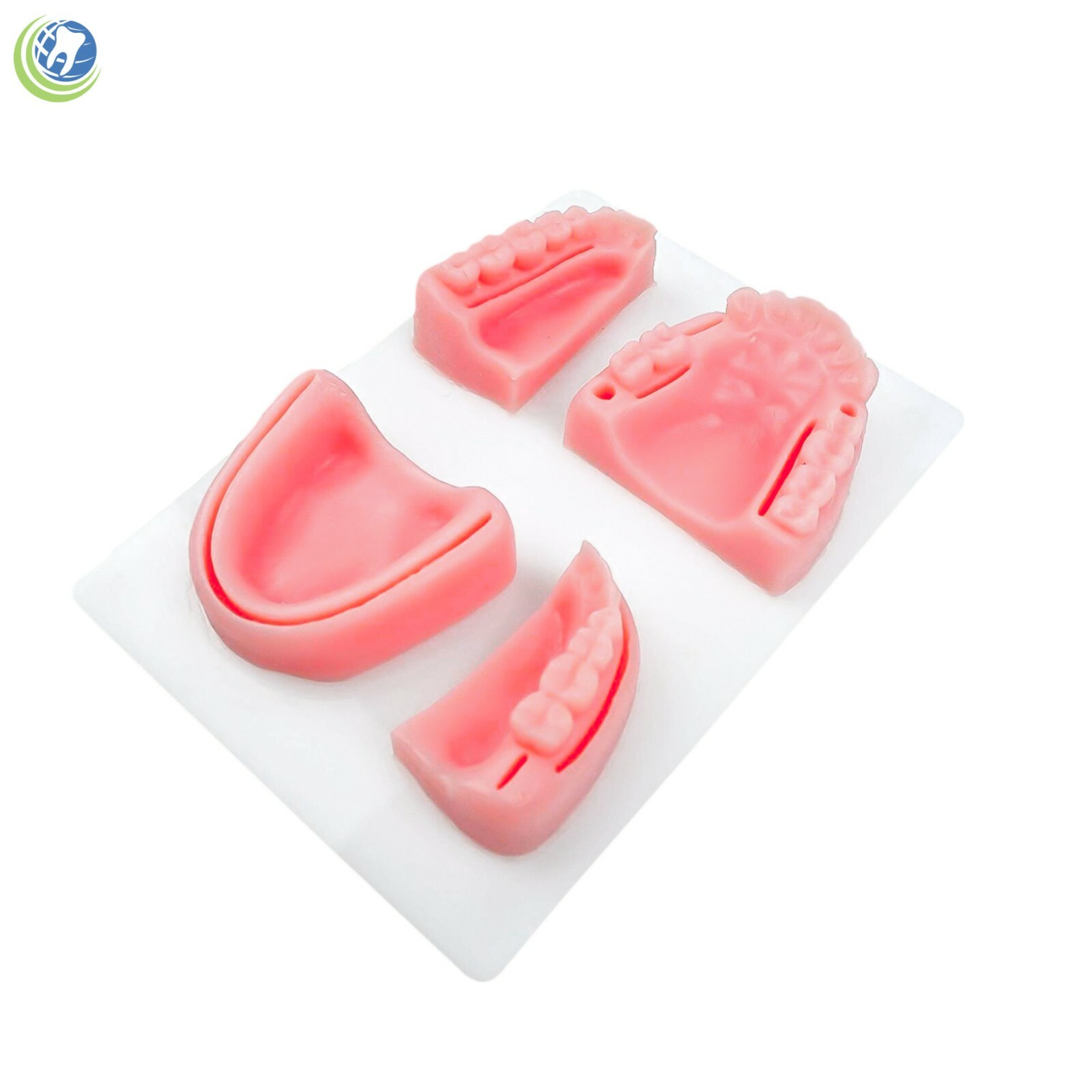 Dental Oral Suture Practice Training Kit 4 Silicon Quadrant Periodental Silicone