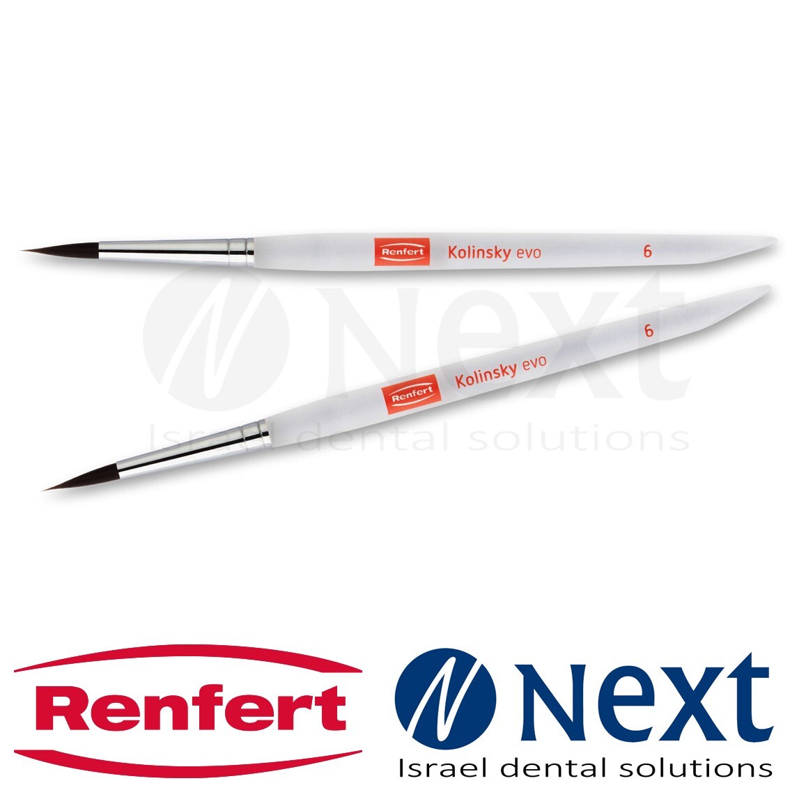 Dental Lab premium Kolinsky EVO Bionic hair brush N6 Renfert 2 pcs 17243006