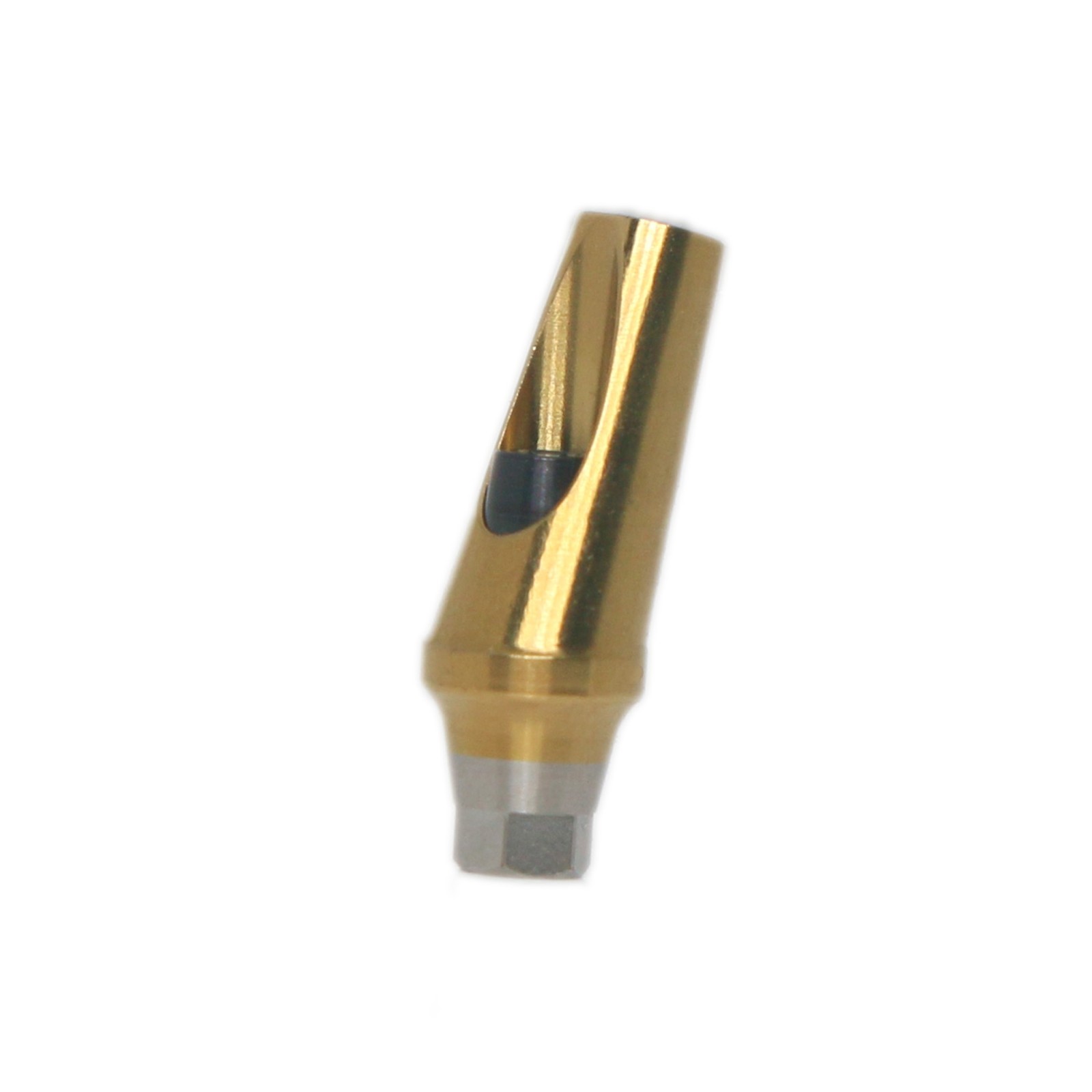17° Angled Anatomic Abutment Regular Fits Hiossen Osstem TS Ø4.5/5.0mm Platform