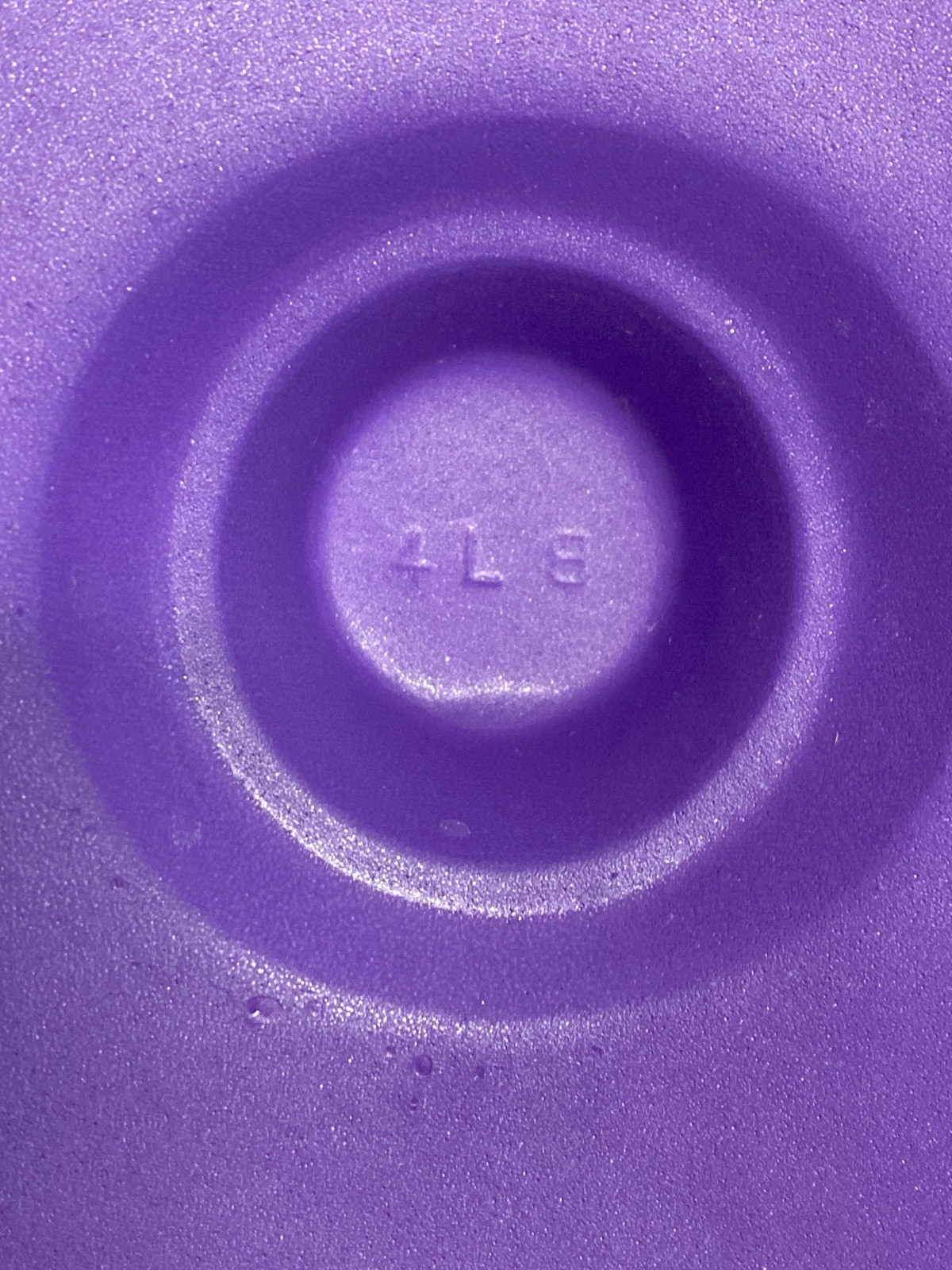 FISHERBRAND 4L Rectangle EVA Lab Cryo Freezer Ice Pan w/ Lid – Purple 03-395-155