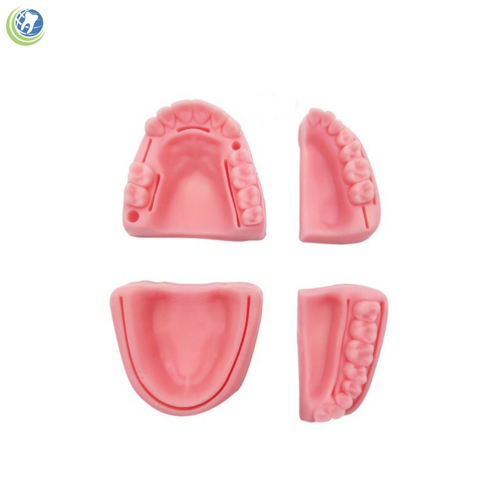 Dental Oral Suture Practice Training Kit 4 Silicon Quadrant Periodental Silicone