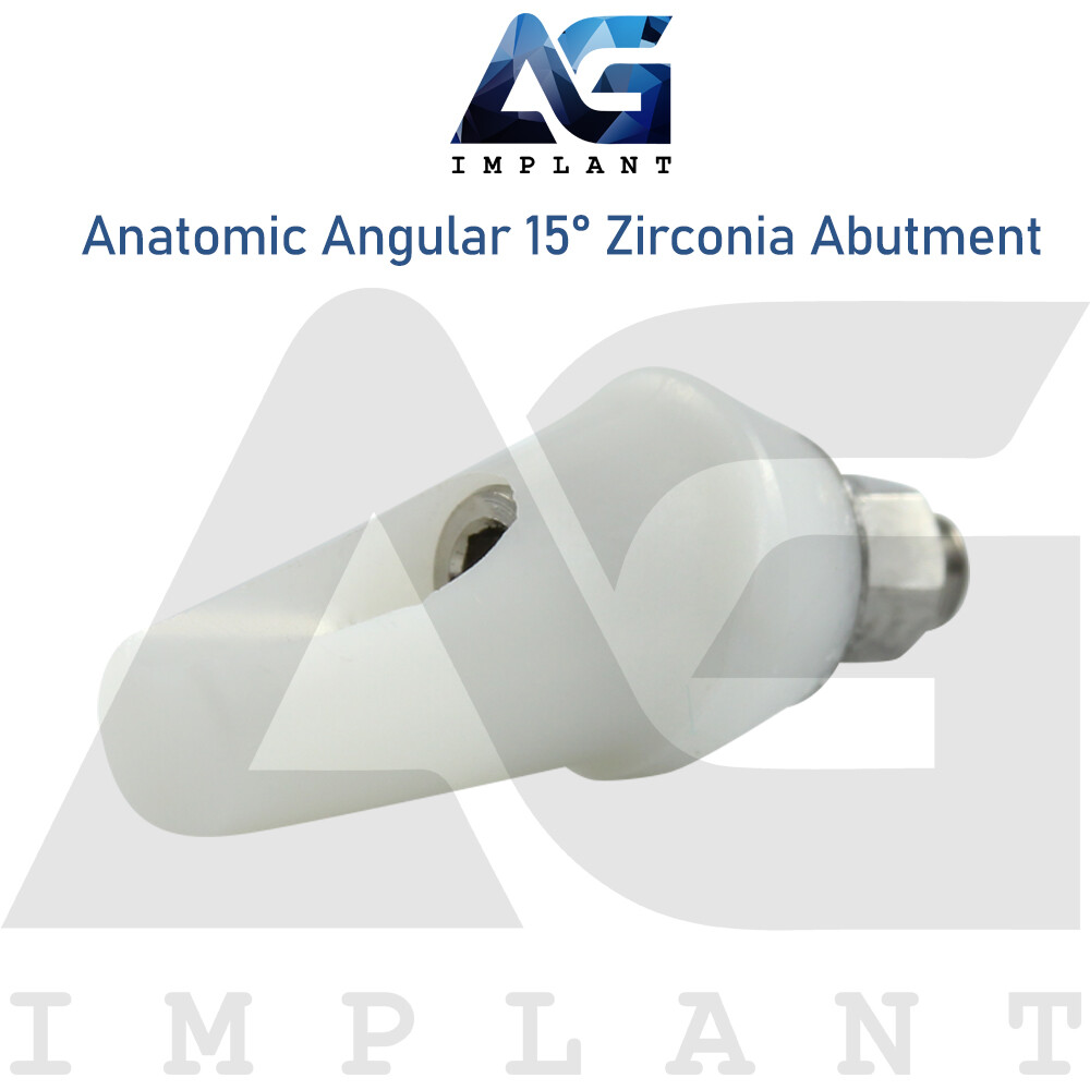 Zirconia Angular Anatomic Prosthetic System 15° Titanium Base Hexagon 2.42mm