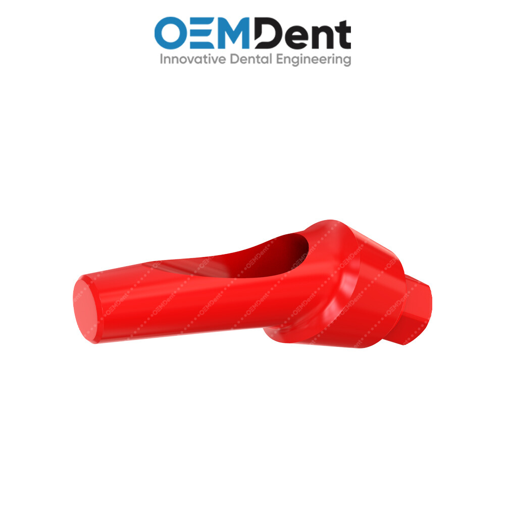Angulated Anatomic Castable Prosthetic 25° – Paltop® Int Hex 2.42mm Compatible