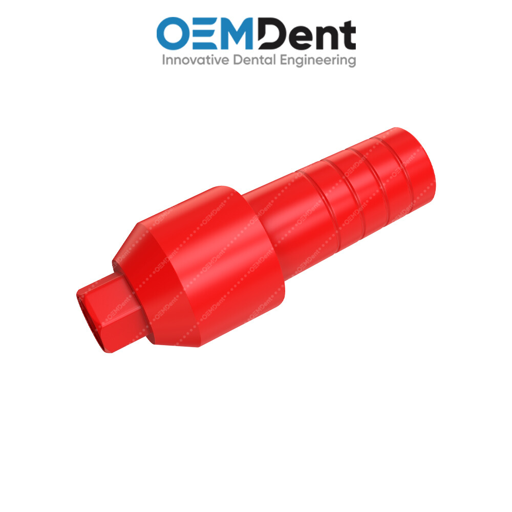 Straight Anatomic Fully Castable Prosthetic – Paltop® Int Hex 2.42mm Compatible